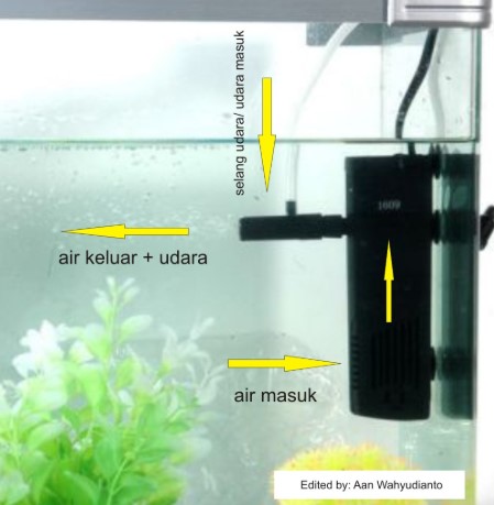 pompa filter aquarium