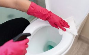 cara membersihkan toilet duduk